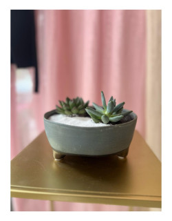 σύνθεση με κακτακι άσπρο - μαύρο