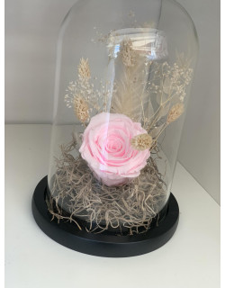 παντοτινά τριανταφυλλα -forever rose 5